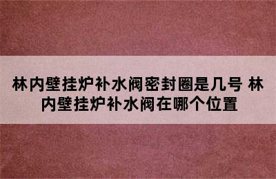 林内壁挂炉补水阀密封圈是几号 林内壁挂炉补水阀在哪个位置